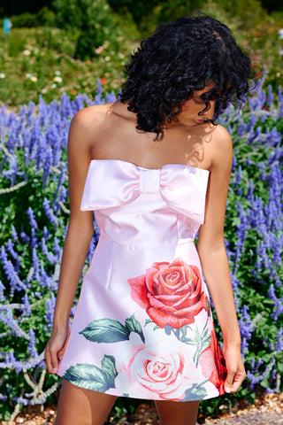 Aston Studio Olivia Dress Baby Rose