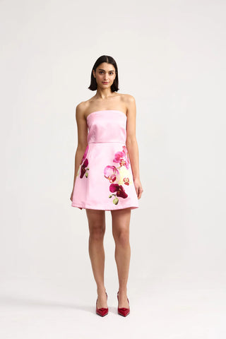 Aston Studio Beatrix Dress in Icing Phalae