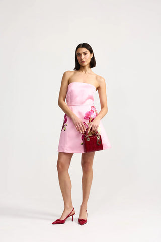 Aston Studio Beatrix Dress in Icing Phalae