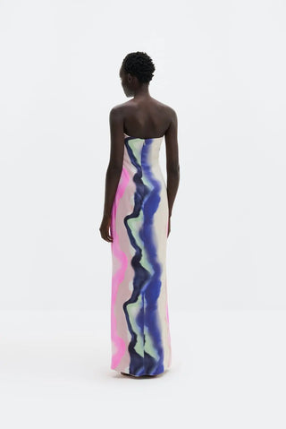 Malina Zelda Maxi Dress in Watercolour