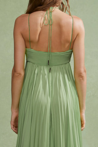 Amur River Pleated Gown