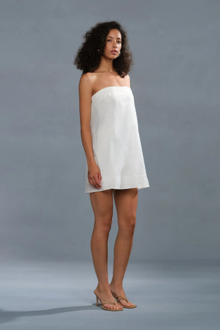 Amur Nerida Mini Dress