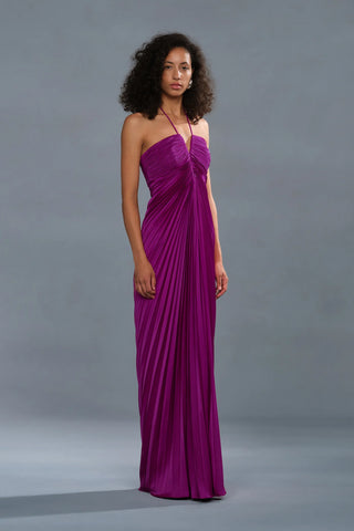 Amur Ionea Pleated Gown