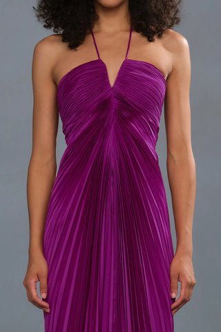 Amur Ionea Pleated Gown