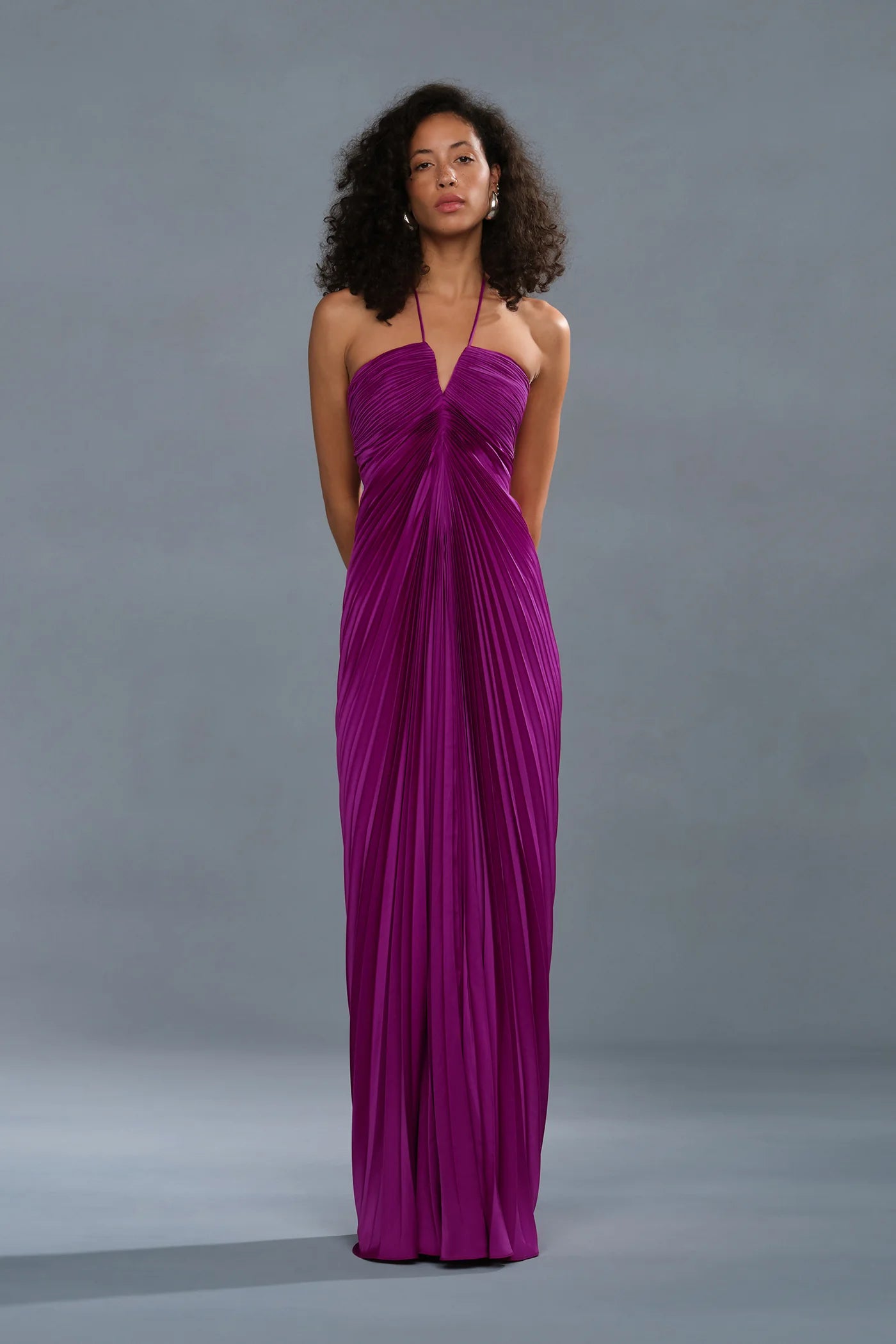 amur giada pleated dress Giada Pleated Dress by AMUR