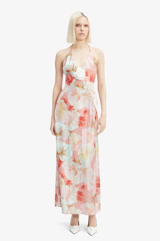 Bardot Aradia Halter Dress in Peach