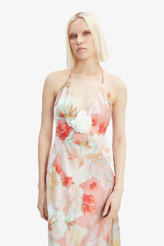 Bardot Aradia Halter Dress in Peach