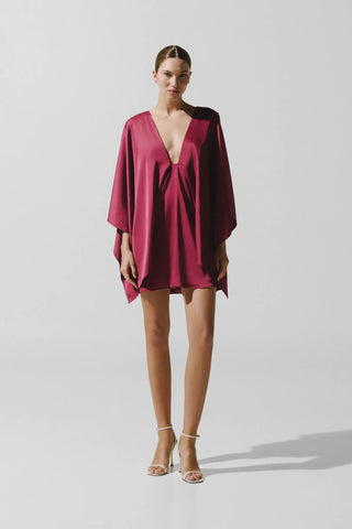 Baobab Pietro Mini Dress
