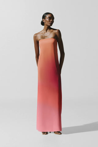 Baobab Nara Maxi Dress