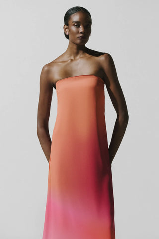 Baobab Nara Maxi Dress