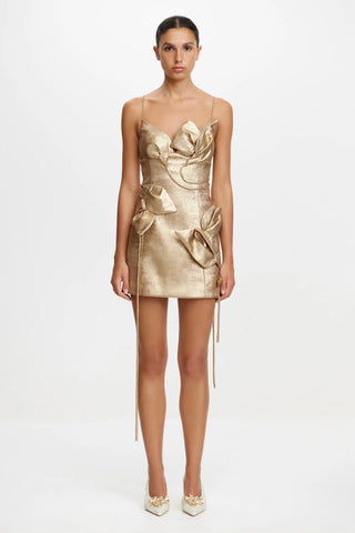 Acler Hillsome Mini Dress