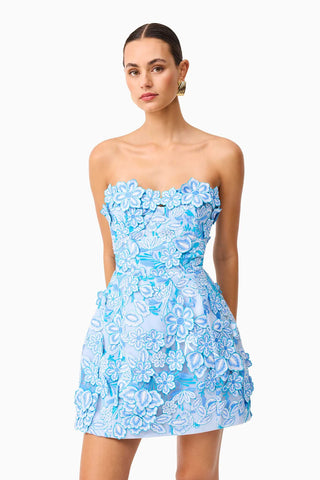 Elliatt Roseate Mini Dress in Blue