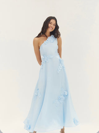 Hutch Adelaide Gown